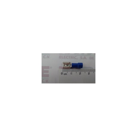 TERMINAL HEMBRA AZUL TCA242 HPA 250 CAL 16-14 ( AE55095 )