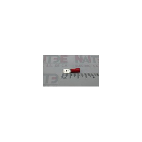 TERMINAL MACHO ROJA AE51242 .250 TCAL 22-16.