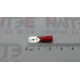 TERMINAL MACHO ROJA AE51242 .250 TCAL 22-16.