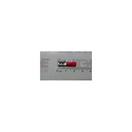 TERMINAL HEMBRA ROJA TCA141 HPR .250 CAL 22-16 ( AE51231 )